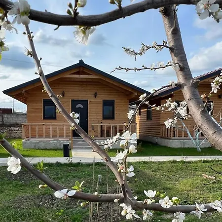 Guest House Dimal Berat Pashalli Exterior photo