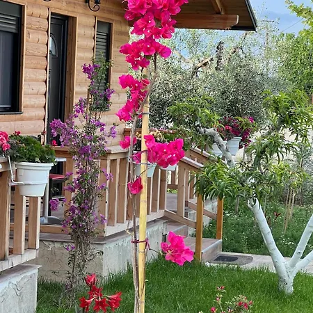 Guest House Dimal Berat Pashalli Exterior photo