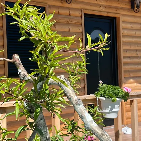 Guest House Dimal Berat Pashalli Exterior photo