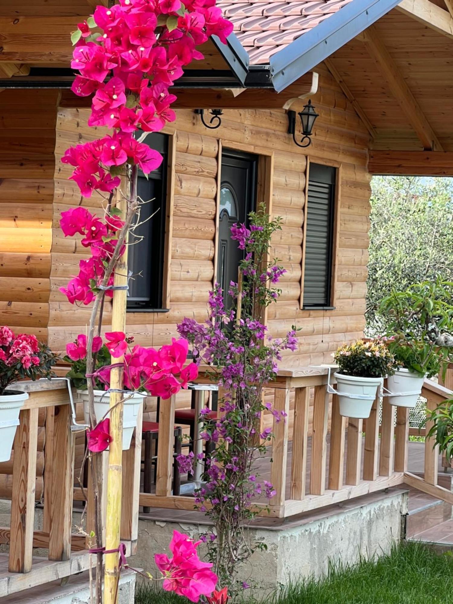 Ferienhaus Dimal Berat *