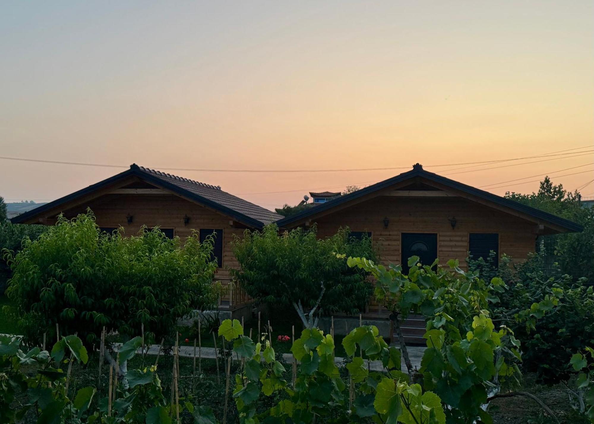Dimal Berat Ferienhaus Pashalli